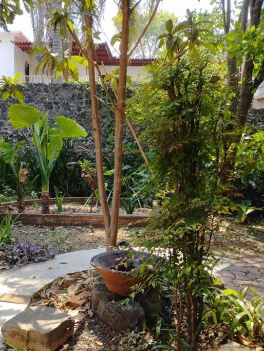 Linda Casa En Tepoztlan Centro 1 Tepoztlán Exterior foto